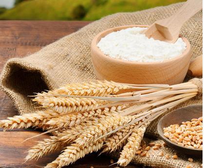 面粉制品改良劑主要有哪些？